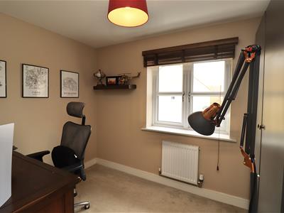 Picture 8